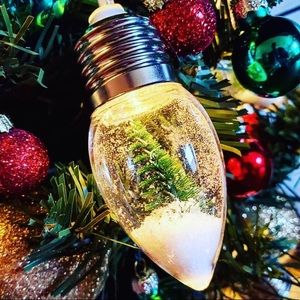 Target Snow Globe Christmas Lights! Hard to find